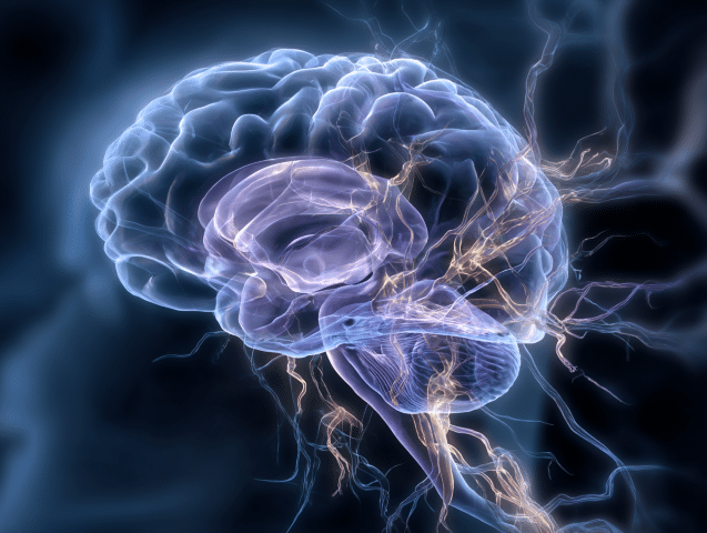 Simple graphic of the neurofeedback loop